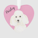 Recherche de caniche rose ornements Noël