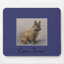 Recherche de cairn tapis souris Terrier de cairn
