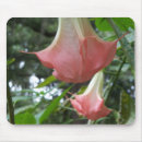 Recherche de ange tapis souris Rose
