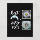 Recherche de modèle photo cartes postales Amour