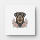 Recherche de chemise plaques Chiot