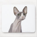 Recherche de chat sphynx tapis souris Mignon