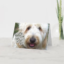 Recherche de non anniversaire cartes Animal