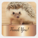 Recherche de hedgehog autocollants De hérisson mignon