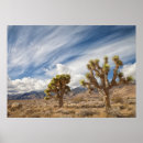 Recherche de image couleur posters Désert