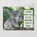Recherche de vraiment cartes postales Koala