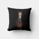 Recherche de poulain coussins Ranch