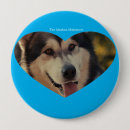 Recherche de insignes badges Pour enfants