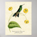 Recherche de oiseaux jaunes posters Tropical