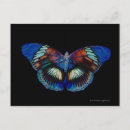 Recherche de motif naturel cartes postales Image couleur