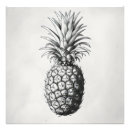 Recherche de fruit exotique posters Été