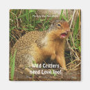 Recherche de cute magnets Pour enfants