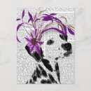 Recherche de dalmatien cartes postales Antique