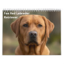 Recherche de labrador calendriers Retriever