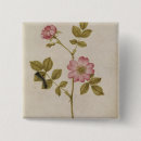 Recherche de rosas badges Botanique