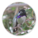 Recherche de oiseau boutons et poignées de porte Côte