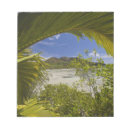 Recherche de palmiers blocsnotes Mer