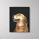 Recherche de beagle impressions sur toile Animal