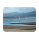 Recherche de voile magnets Sports