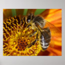Recherche de honey bee posters Ruche