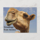 Recherche de dromadaires cartes postales Arabie
