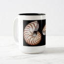 Recherche de nautilus tasses Mer