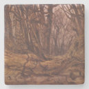 Recherche de troncs dessous de verres Automne