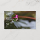 Recherche de vues cartes visite Nature
