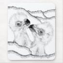 Recherche de rapaces tapis souris Nature