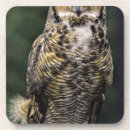 Recherche de griffe dessous de verres Faune
