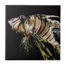 Recherche de poissons de lion Pour lui