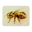 Recherche de frelons Abeille