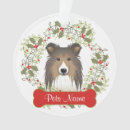 Recherche de chien berger shetland maison deco Chiot