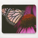 Recherche de papillon monarque tapis souris Été
