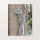 Recherche de tronc puzzles Bois