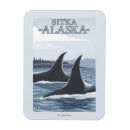 Recherche de orca magnete Alaska