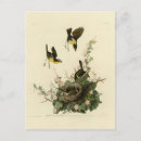 Recherche de jaunâtre cartes postales Jaune