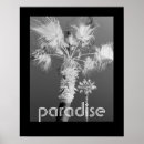Recherche de arbres en noir et blanc posters Photographie