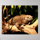 Recherche de mis en danger posters Sauvage