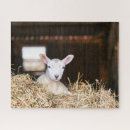 Recherche de animal bébé puzzles Agneau