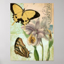 Recherche de orchidée verte posters Jardin