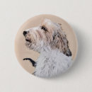 Recherche de griffons badges Chiot