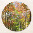 Recherche de photographie paysage de dessous de verres Nature