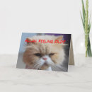 Recherche de chat persan vœux cartes Minou