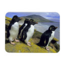 Recherche de bouclé magnets Quatre