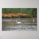Recherche de oiseaux de marais art Nature
