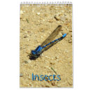 Recherche de fourmis bureau fournitures Papillon