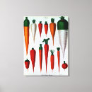 Recherche de carottes art Racine