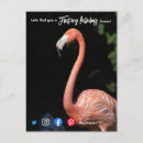 Recherche de fabuleux cartes postales Drôle