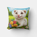 Recherche de furet coussins Mignon